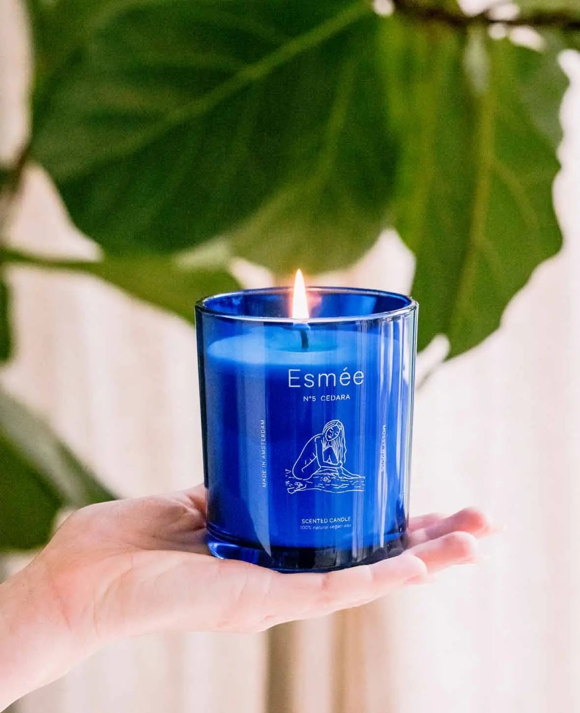 Esmée Premium Scents - N°5 Cedara, Duftkerze mit Duftnote "Mossy Woods", 280 g, Blau