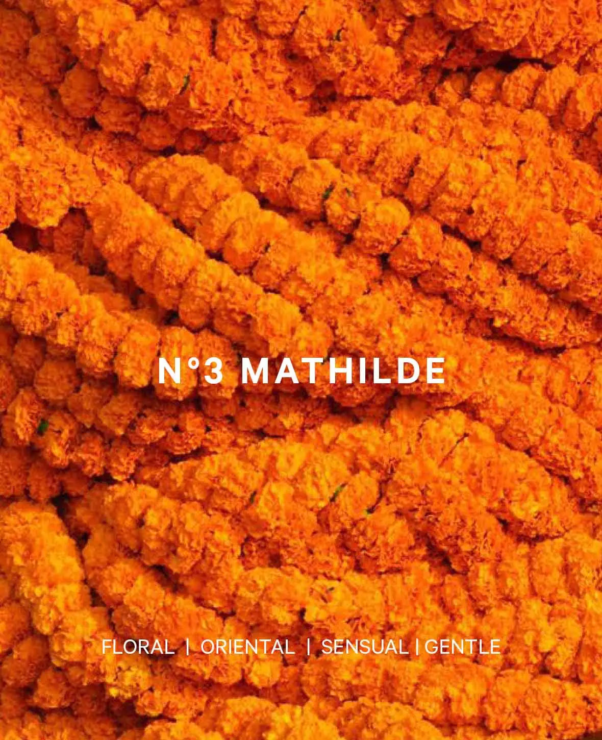 Esmée Premium Scents - N°3 Mathilde, Diffusor mit Duftnote "Floral Amber", 200 ml, Orange