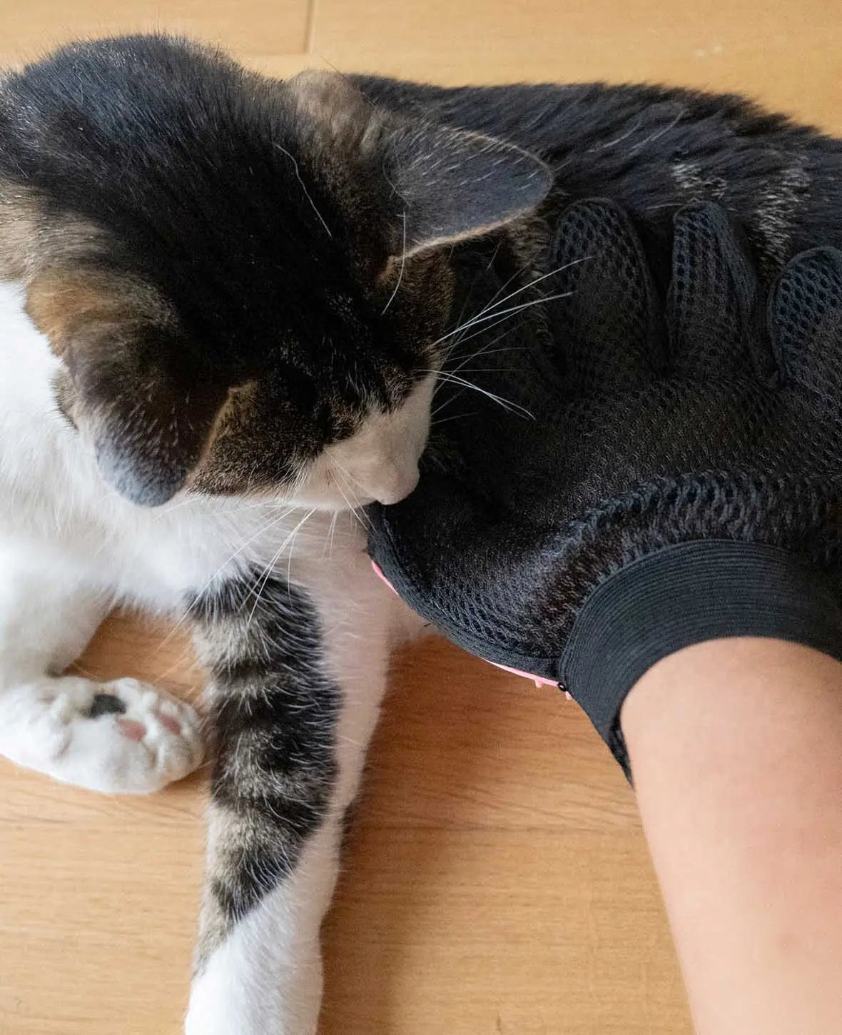 Fellpflege Handschuh für Katzen und Hunde, Schwarz/Pink