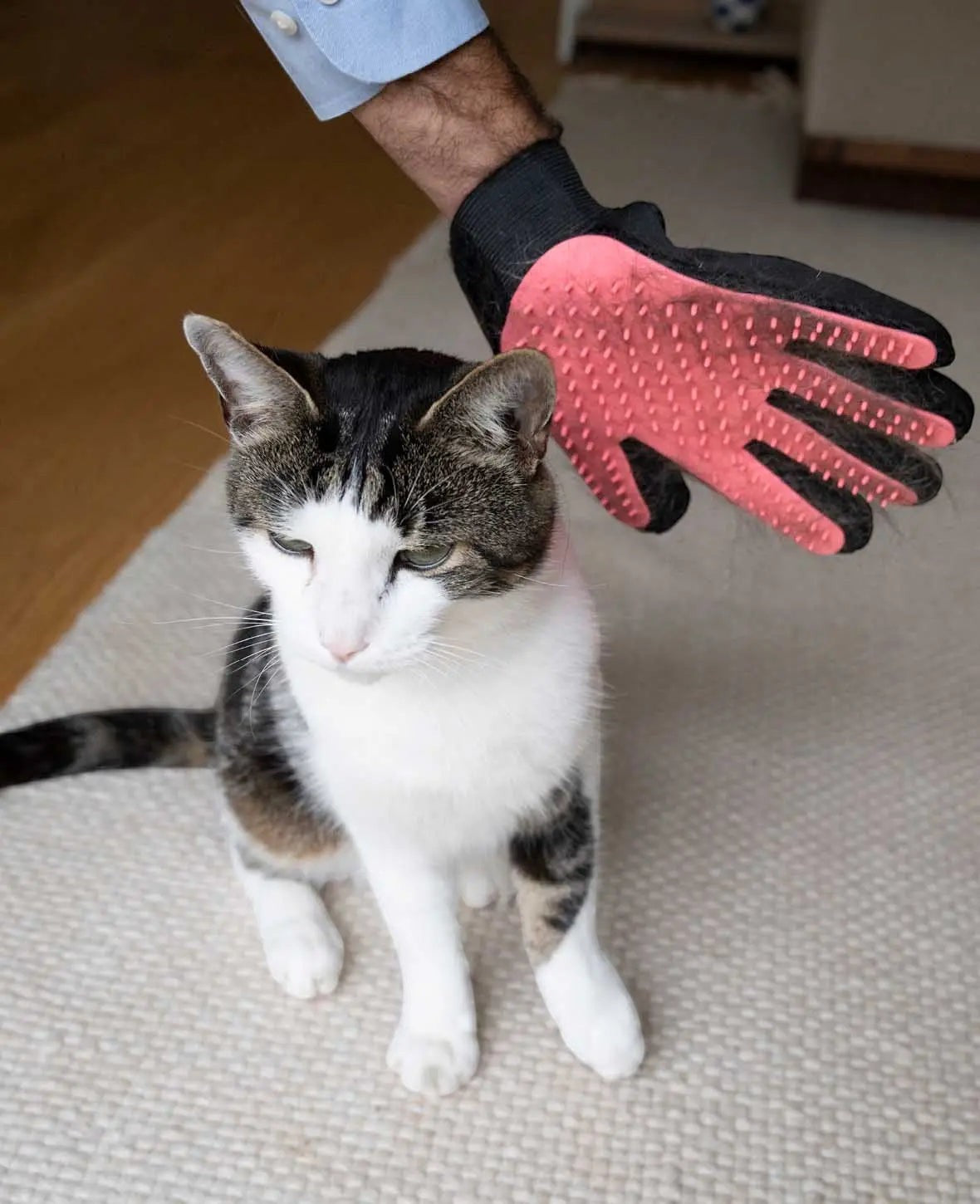 Fellpflege Handschuh für Katzen und Hunde, Schwarz/Pink