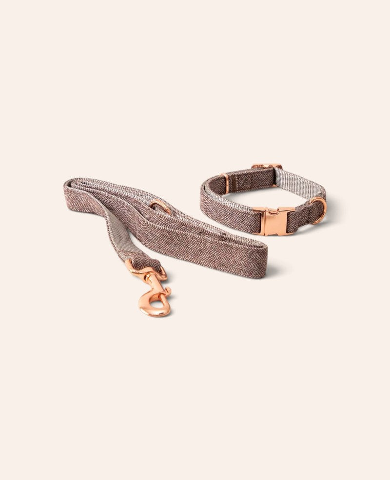 Luxus Hundehalsband mit Leine, braun, S