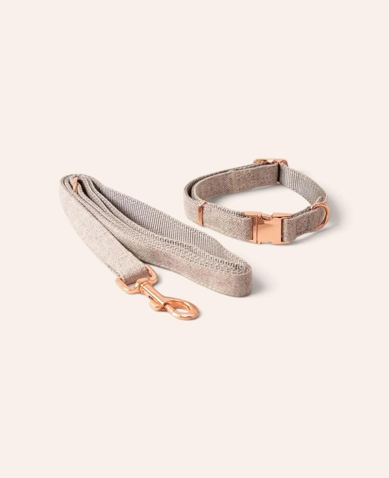 Luxus Hundehalsband mit Leine, beige, S