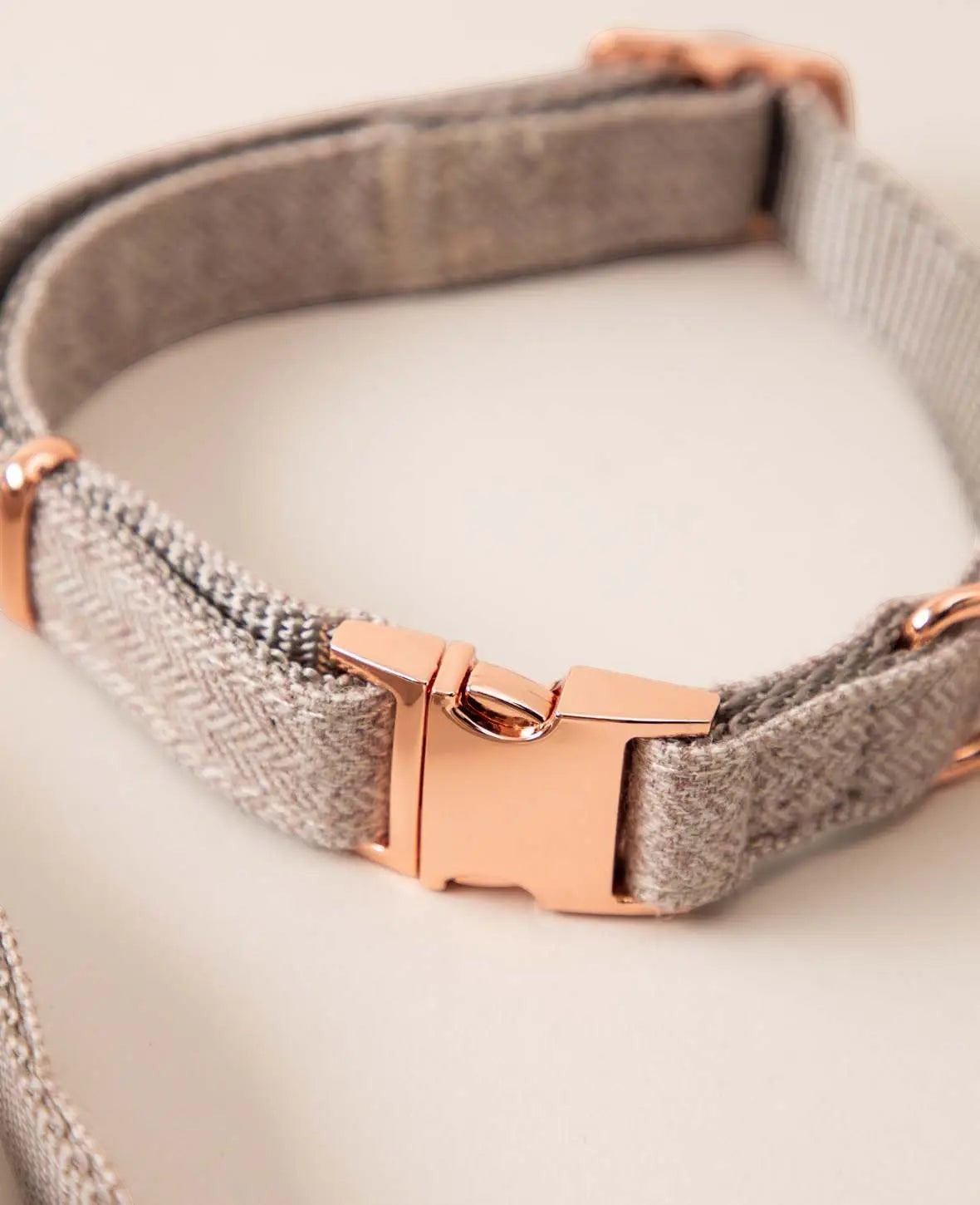 Luxus Hundehalsband mit Leine, beige, S