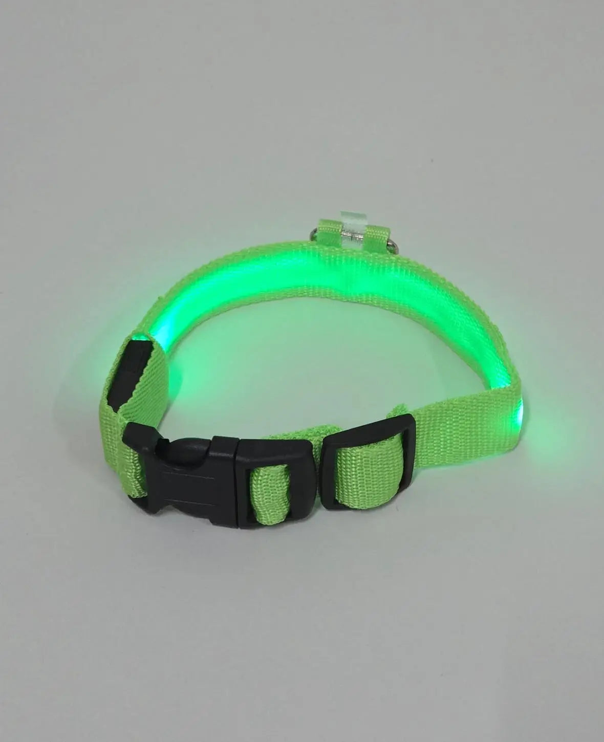 LED Hundehalsband, S