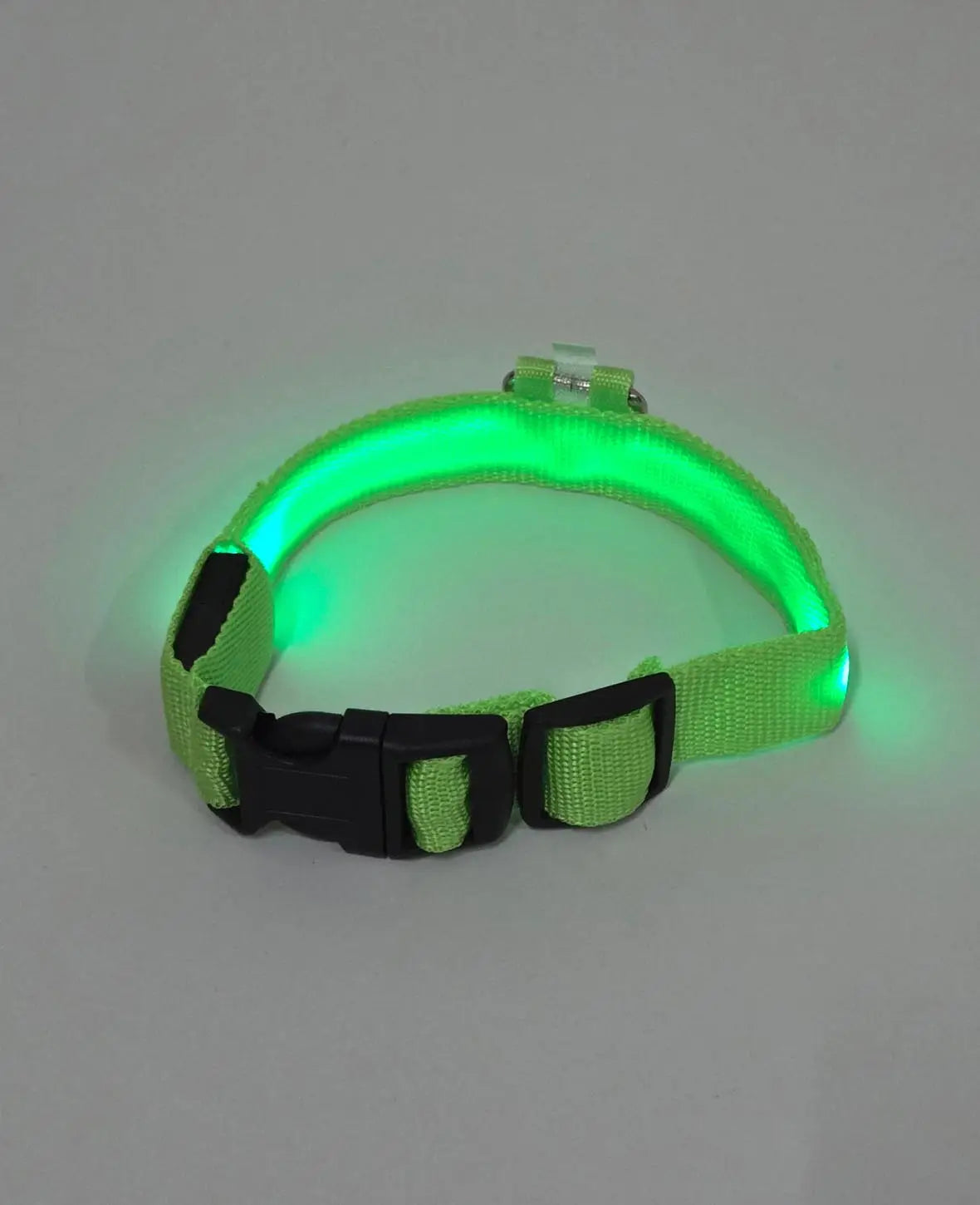 LED Hundehalsband, M
