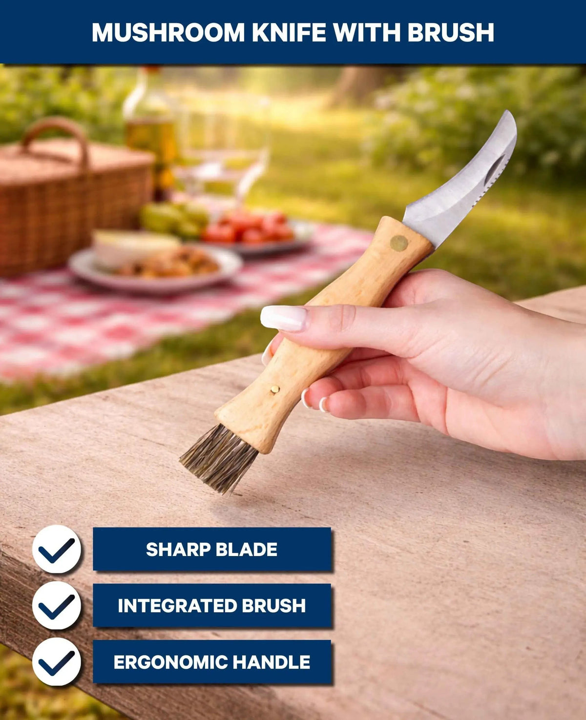 Pilzmesser / Klappmesser mit Bürste und Buchenholzgriff