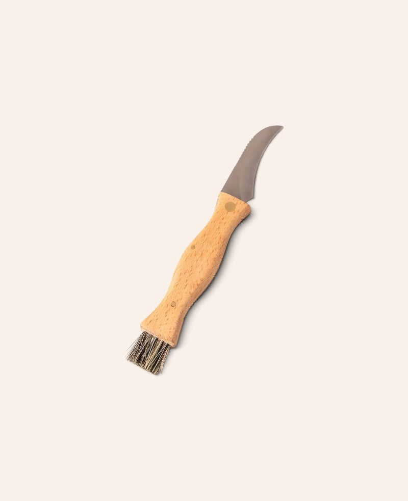 Pilzmesser / Klappmesser mit Bürste und Buchenholzgriff