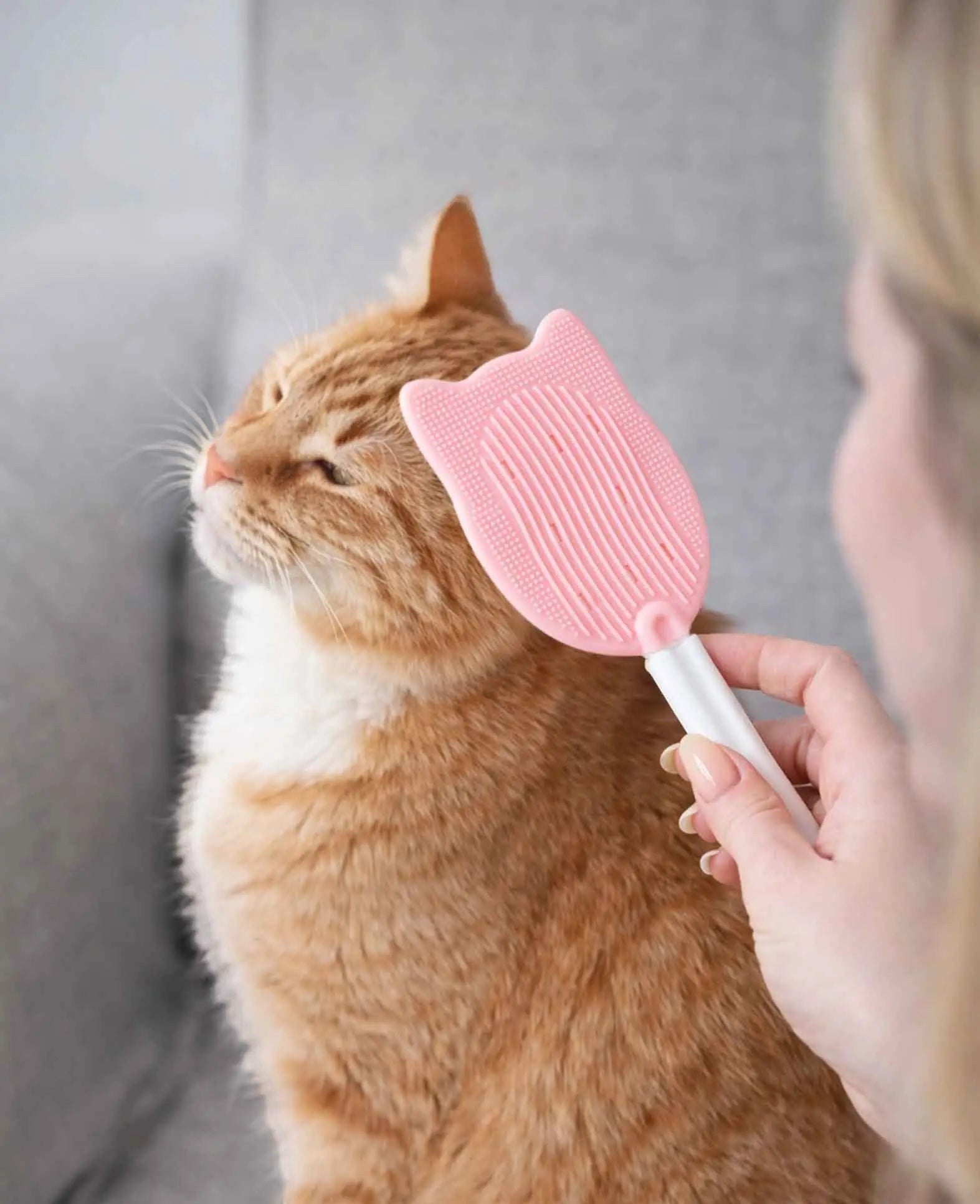 Tierpflegebürste Silikon, Rosa, für Hunde und Katzen