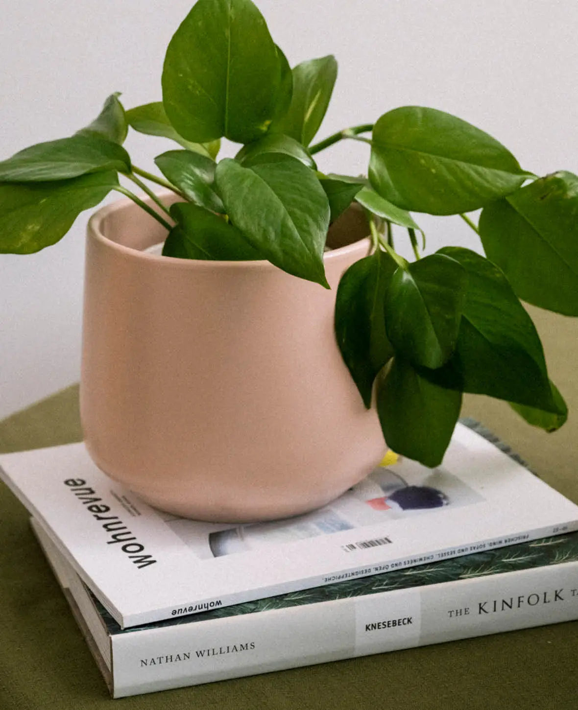 Blumentopf modern, Hellrosa matt, Ø 17cm