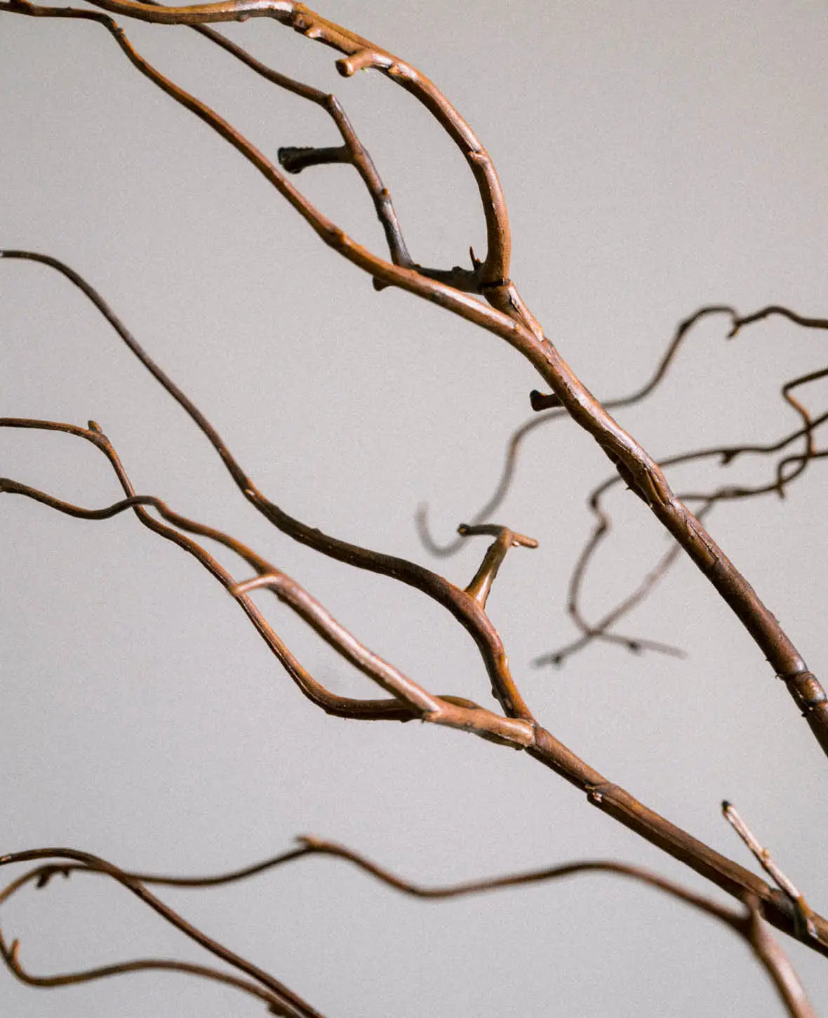 Decorative Branch, Brown, 110cm