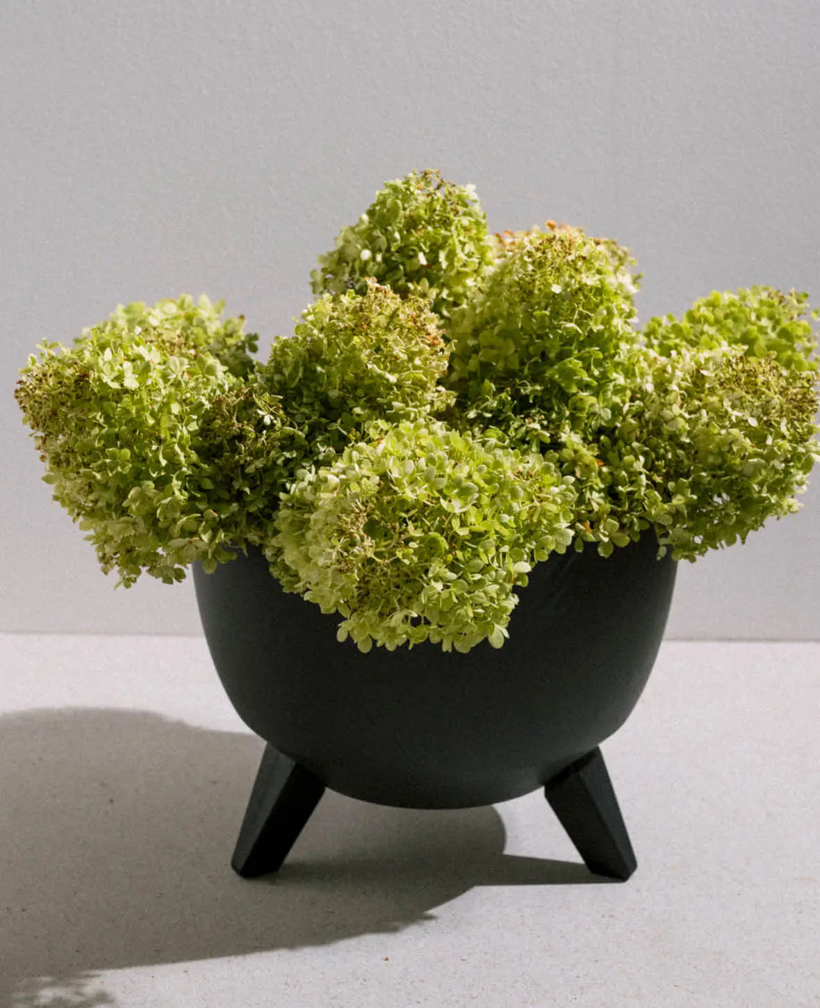 Flower Pot Doppio on Feet, Anthracite, Ø 29 cm