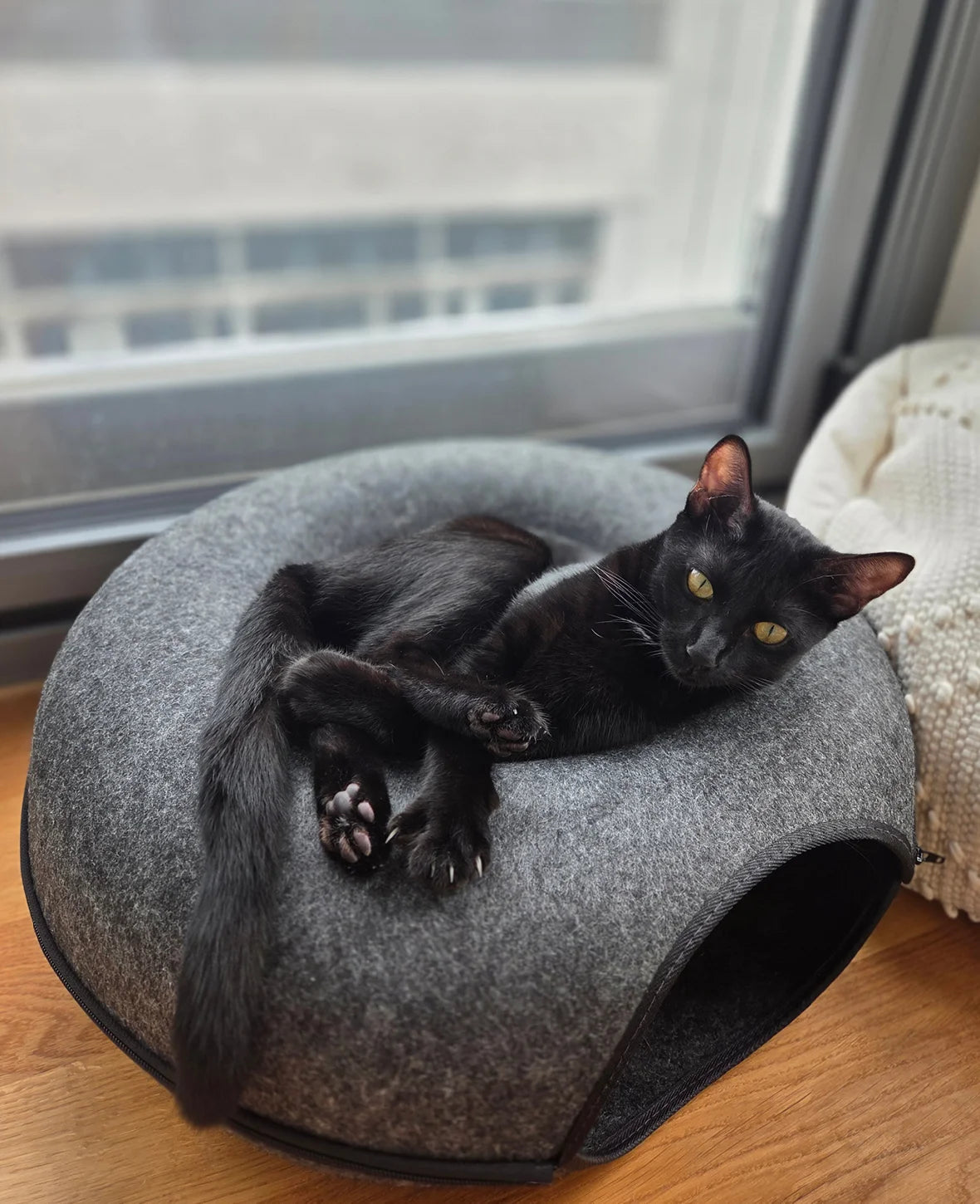 Felt Cat Cave, Black, 50 × 50cm