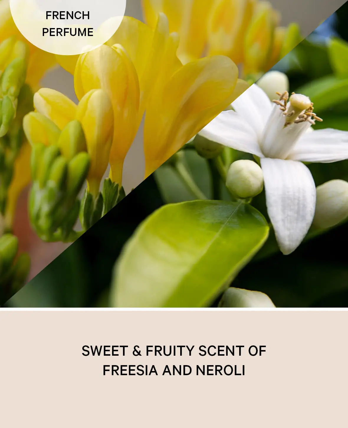 Duft Diffuser Freesia Neroli, 75ml