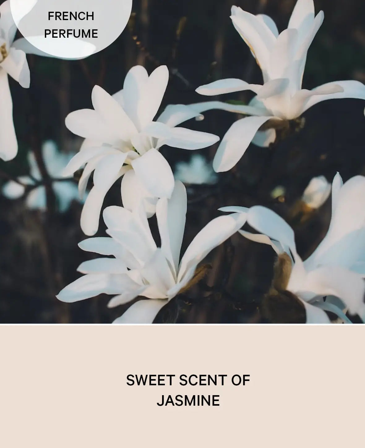 Duft Diffuser Midnight Jasmine, 75ml