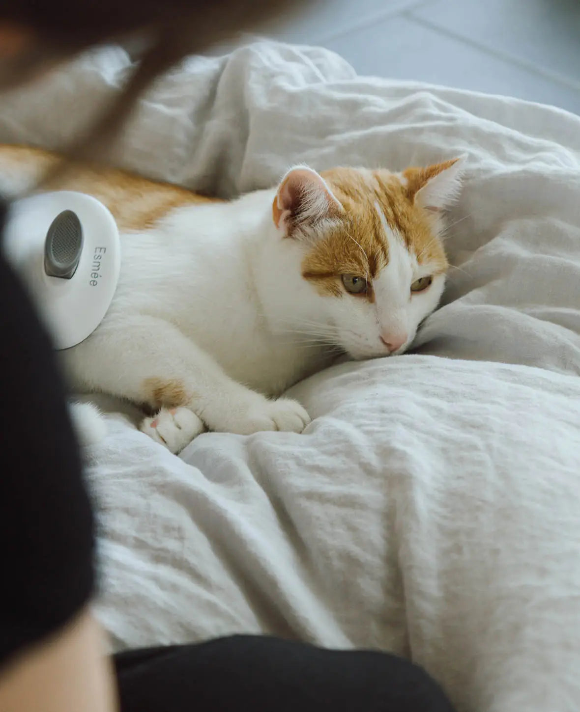 Selbstreinigende Haustier Fellbürste für Katzen und Hunde, rund, grau-weiss