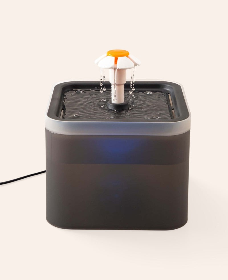 Haustier Trinkbrunnen LED Wasserspender mit Aktivkohlefilter + Wasserpumpe, 2L