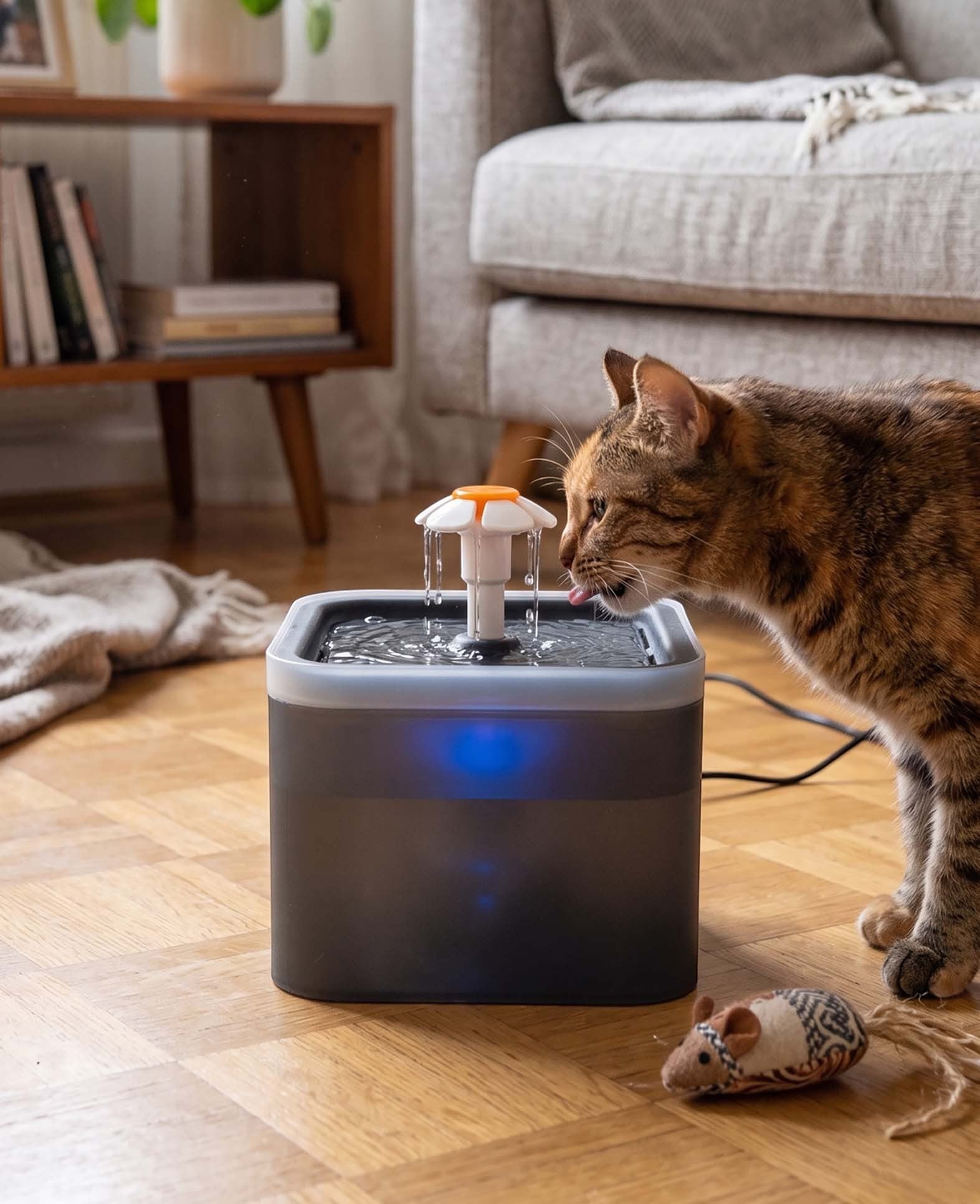 Haustier Trinkbrunnen LED Wasserspender mit Aktivkohlefilter + Wasserpumpe, 2L