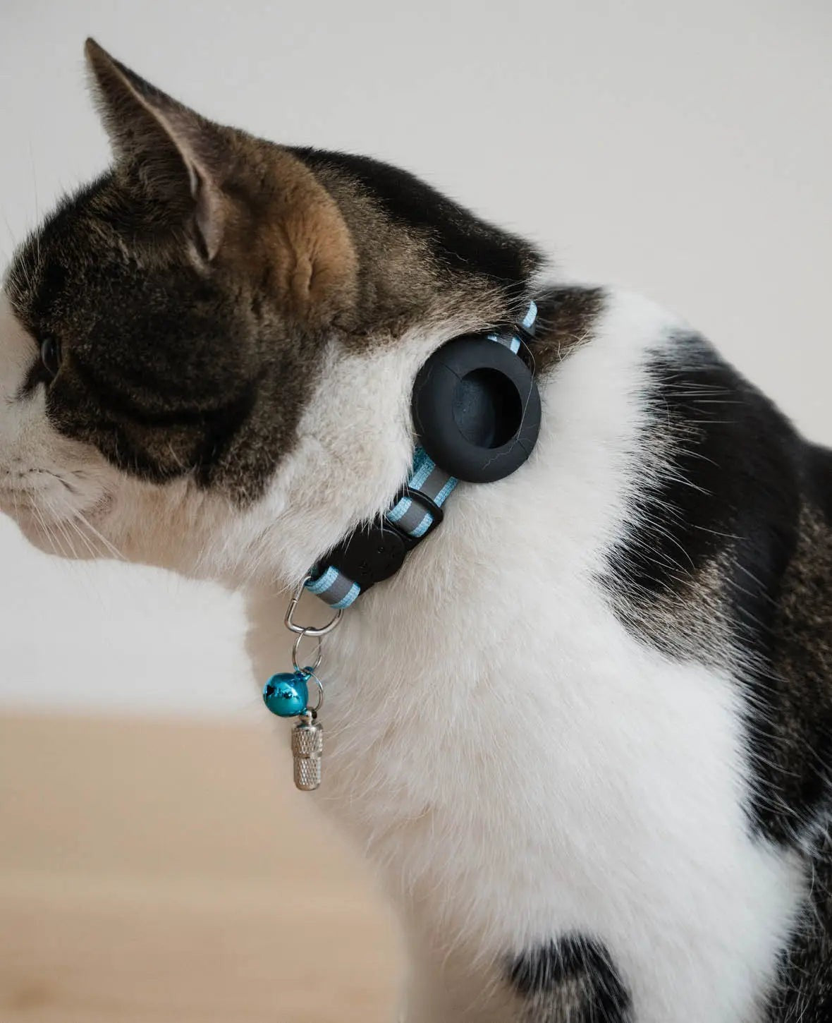 Katzen Halsband mit Apple AirTag Silikon Halterung, Adressanhänger, Blau