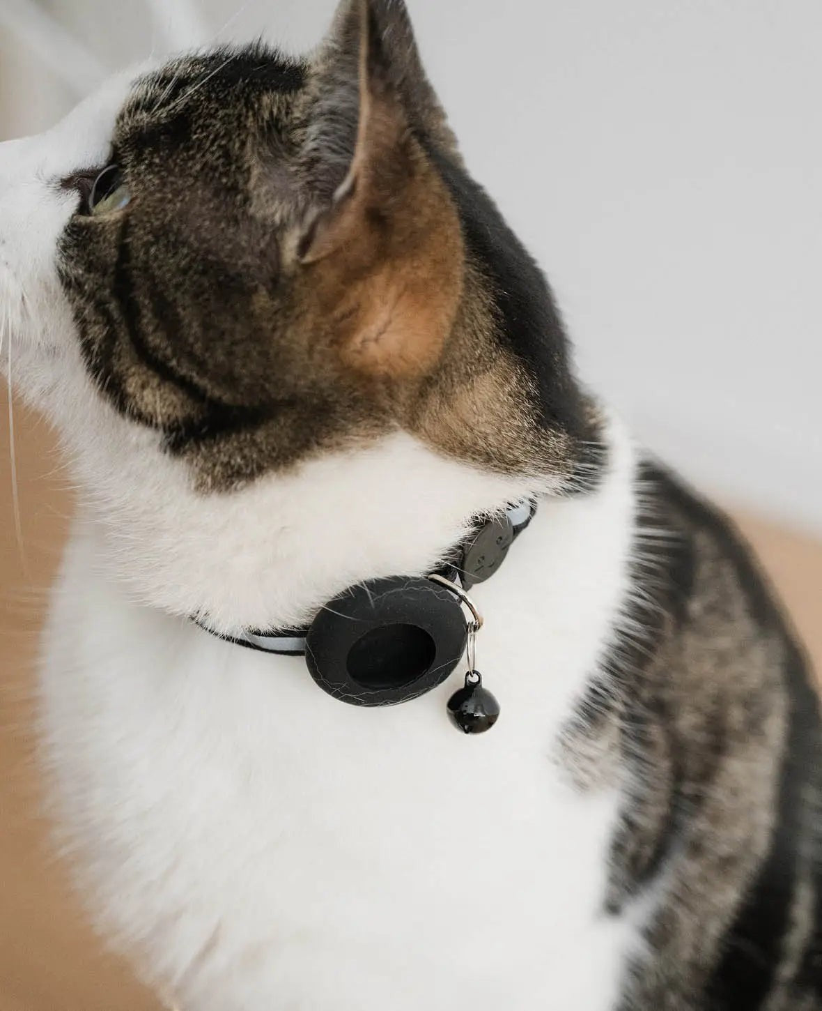 Katzen Halsband mit Apple AirTag Silikon Halterung, Reflektor, Schwarz