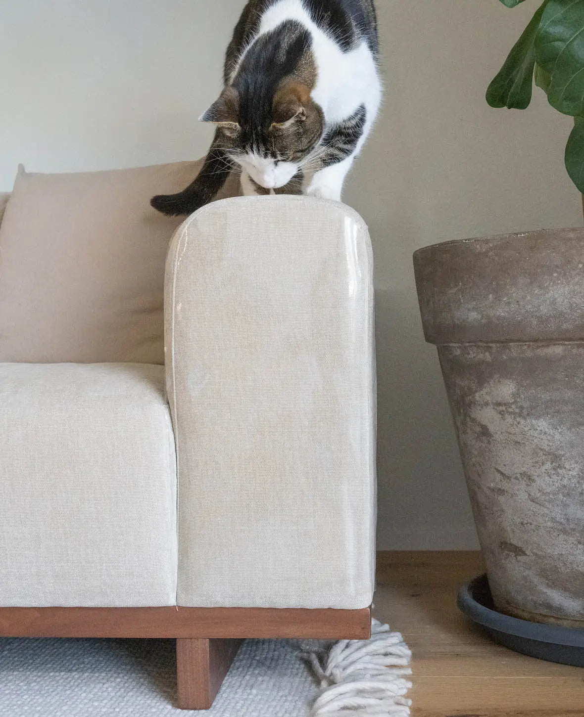 Möbel Kratzschutz für Katzen 42.5x22.5cm – 8er Set, Transparent