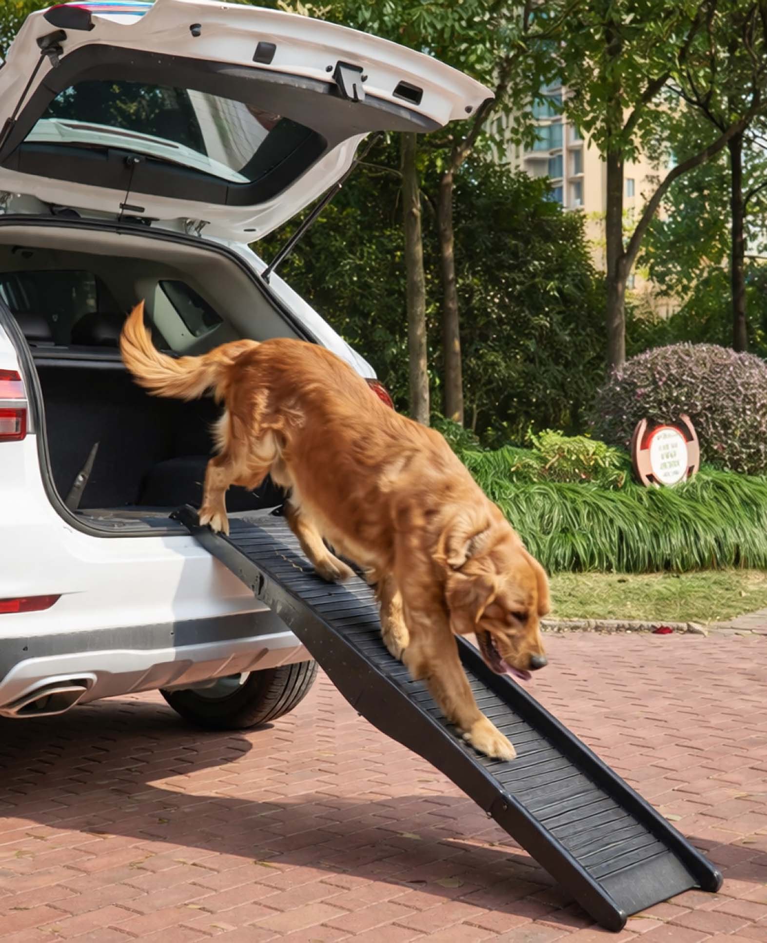 Klappbare Hunde Auto Einstieghilfe