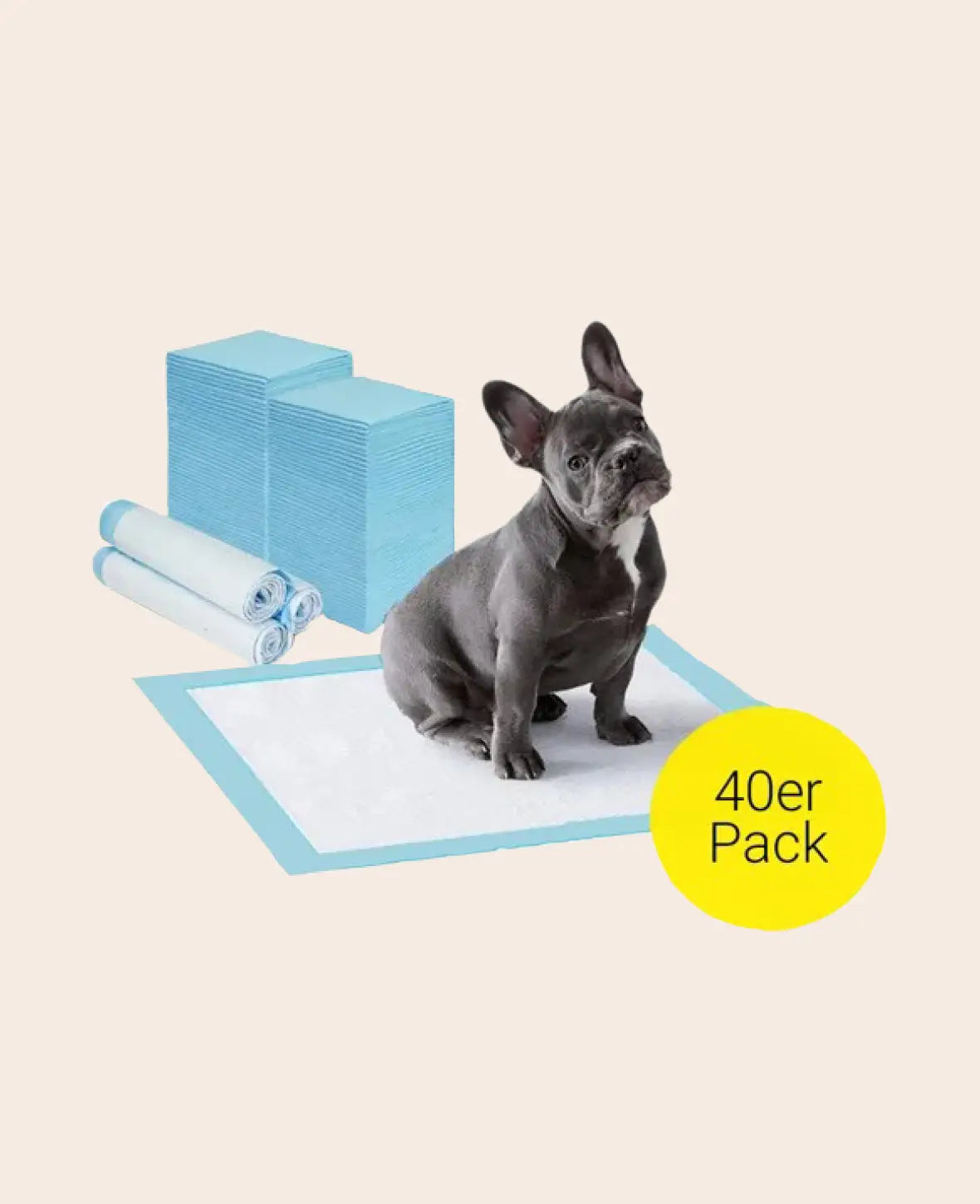(40er Set) 60x60 Absorbierende Welpen Hygiene Matte – Blau