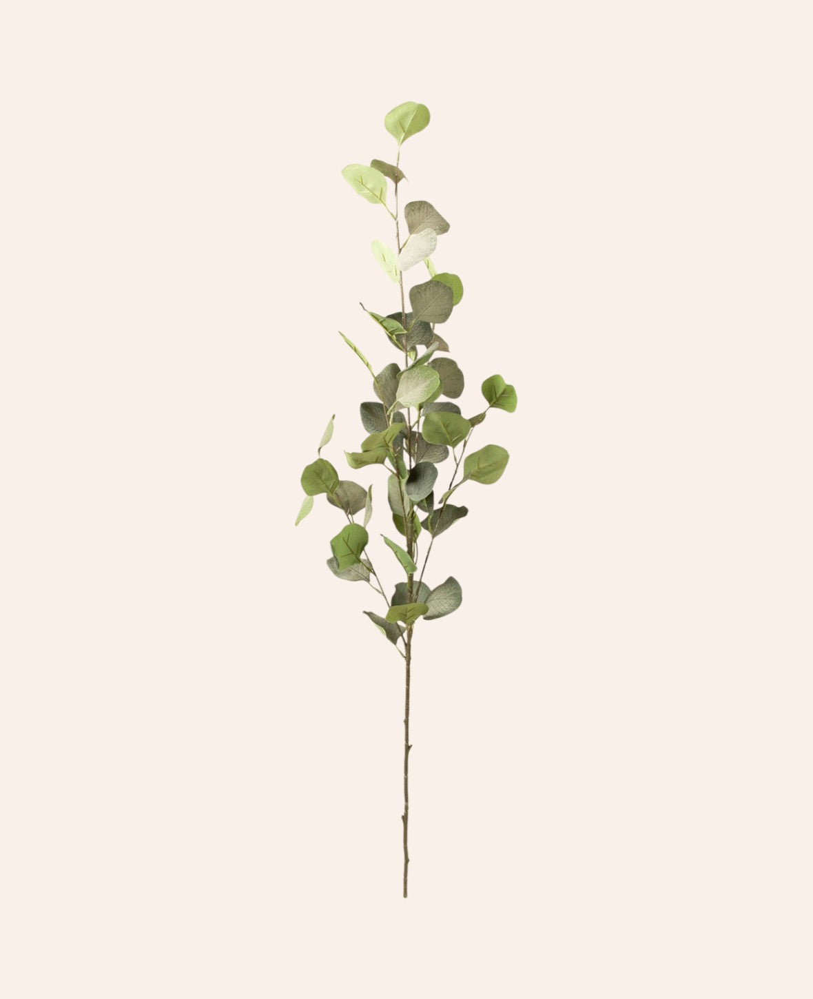Esmée Eukalyptuszweig aus Polyester in natürlichem Grün, 90 cm lang für dekorative Vasenarrangements