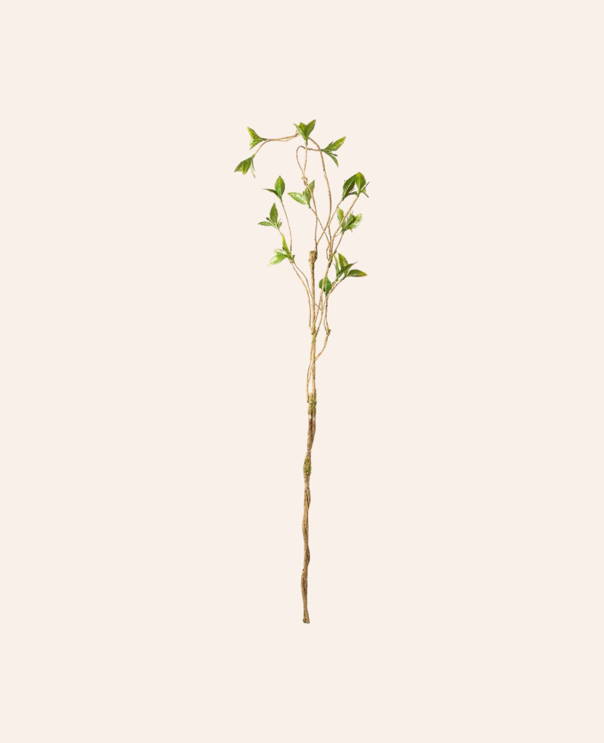 Esmée künstlicher Blattzweig in Grün aus Polyester, 105 cm lang, ideal für hohe Vasen und florale Dekorationen