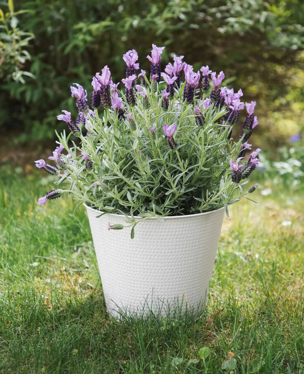 Blumentopf / Übertopf aus Blech, Taupe, Ø 23 x H 18.5 cm