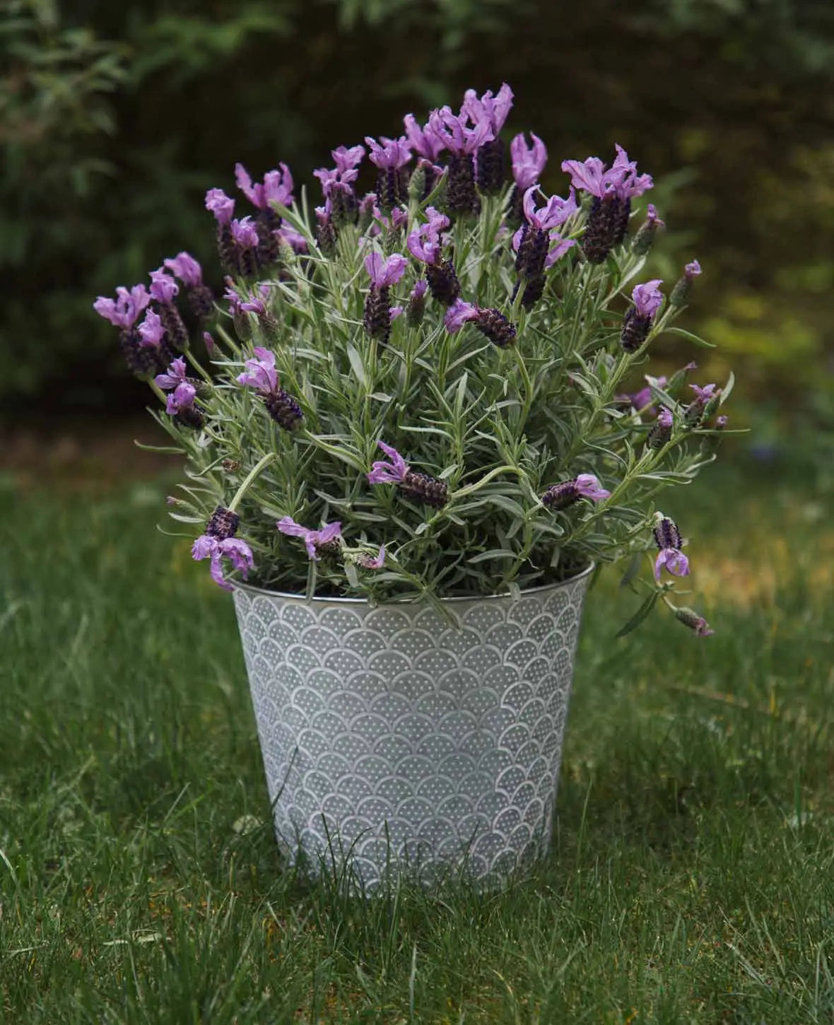 Blumentopf / Übertopf aus Blech mit Orient-Muster, Ø 20 x H 17 cm