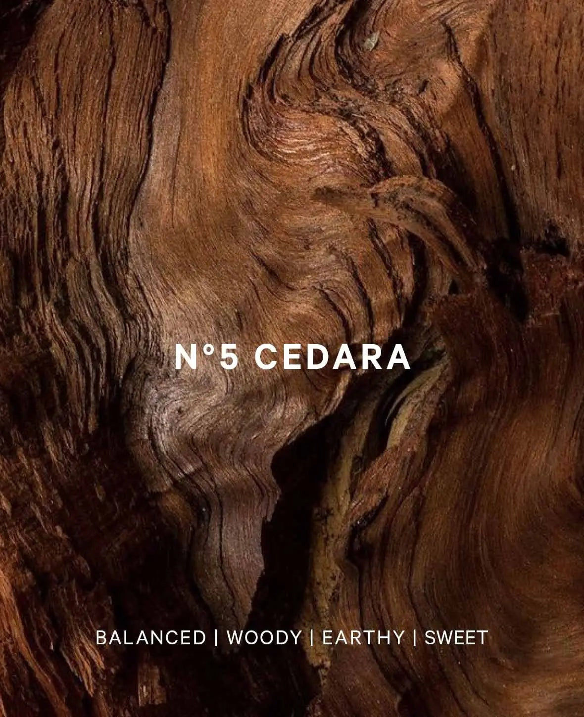 Esmée Premium Scents - N°5 Cedara, Duftkerze mit Duftnote "Mossy Woods", 280 g, Blau