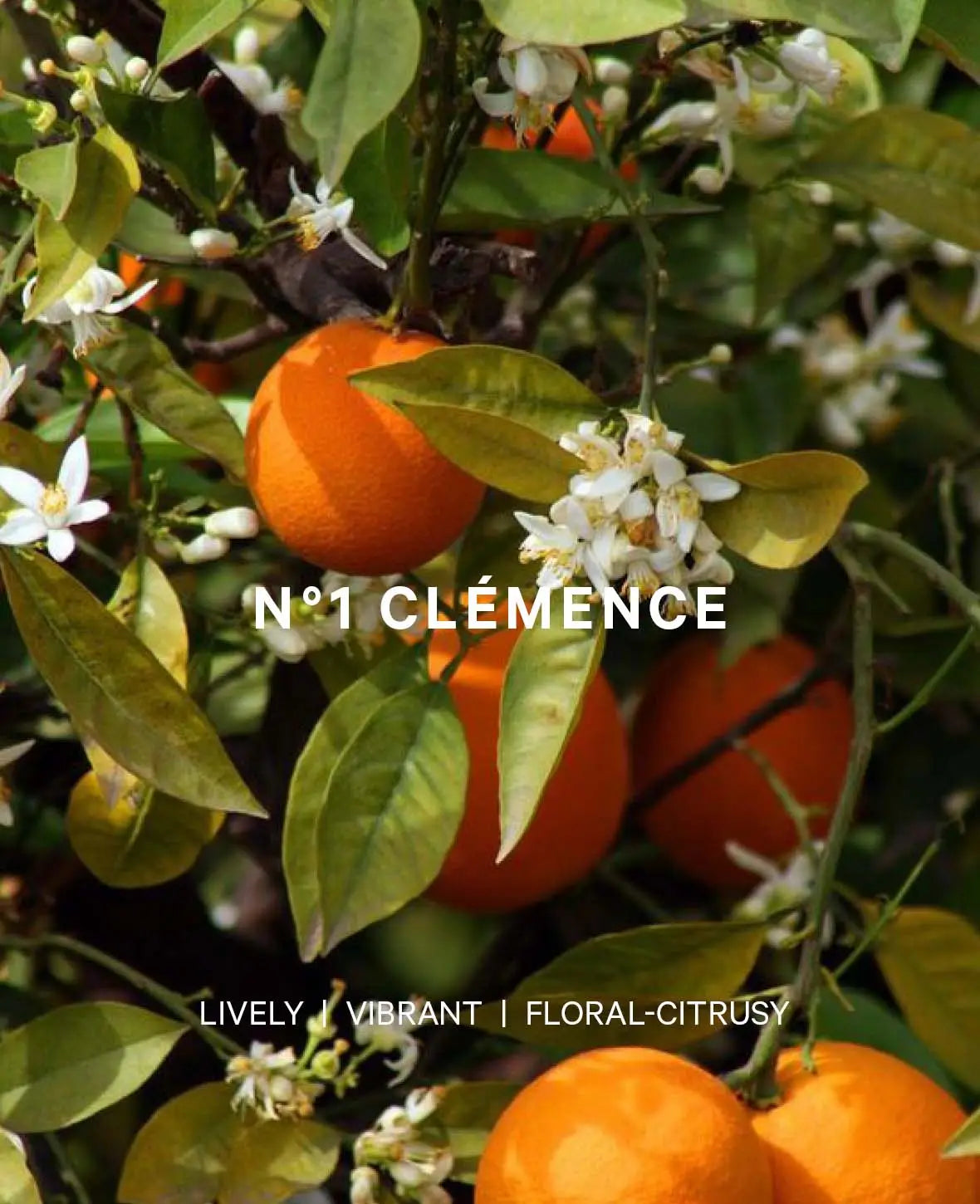 Esmée Premium Scents - N°1 Clémence, Raumspray mit Duftnote "Bloomy Citrus", 200 ml, Gelb