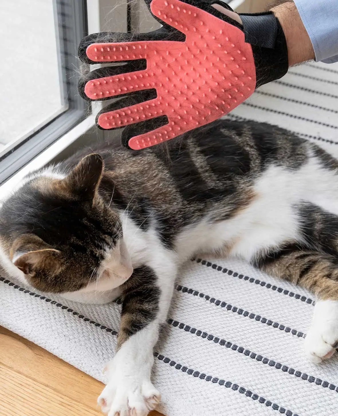 Fellpflege Handschuh für Katzen und Hunde, Schwarz/Pink
