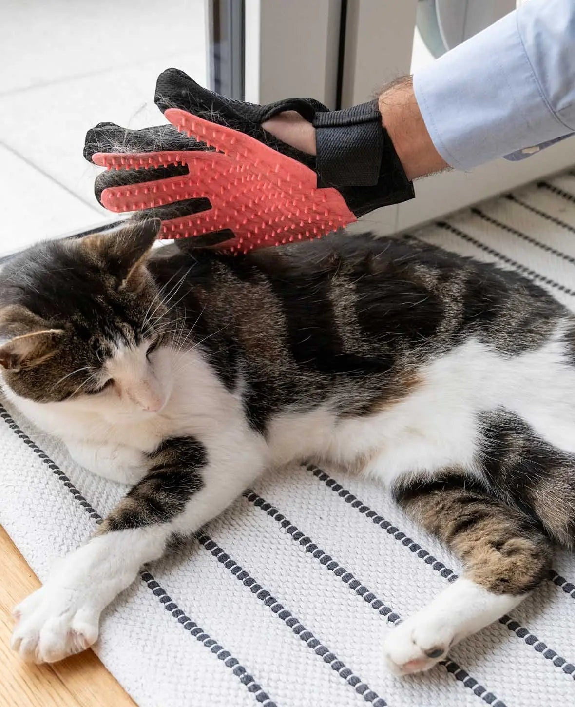 Fellpflege Handschuh für Katzen und Hunde, Schwarz/Pink