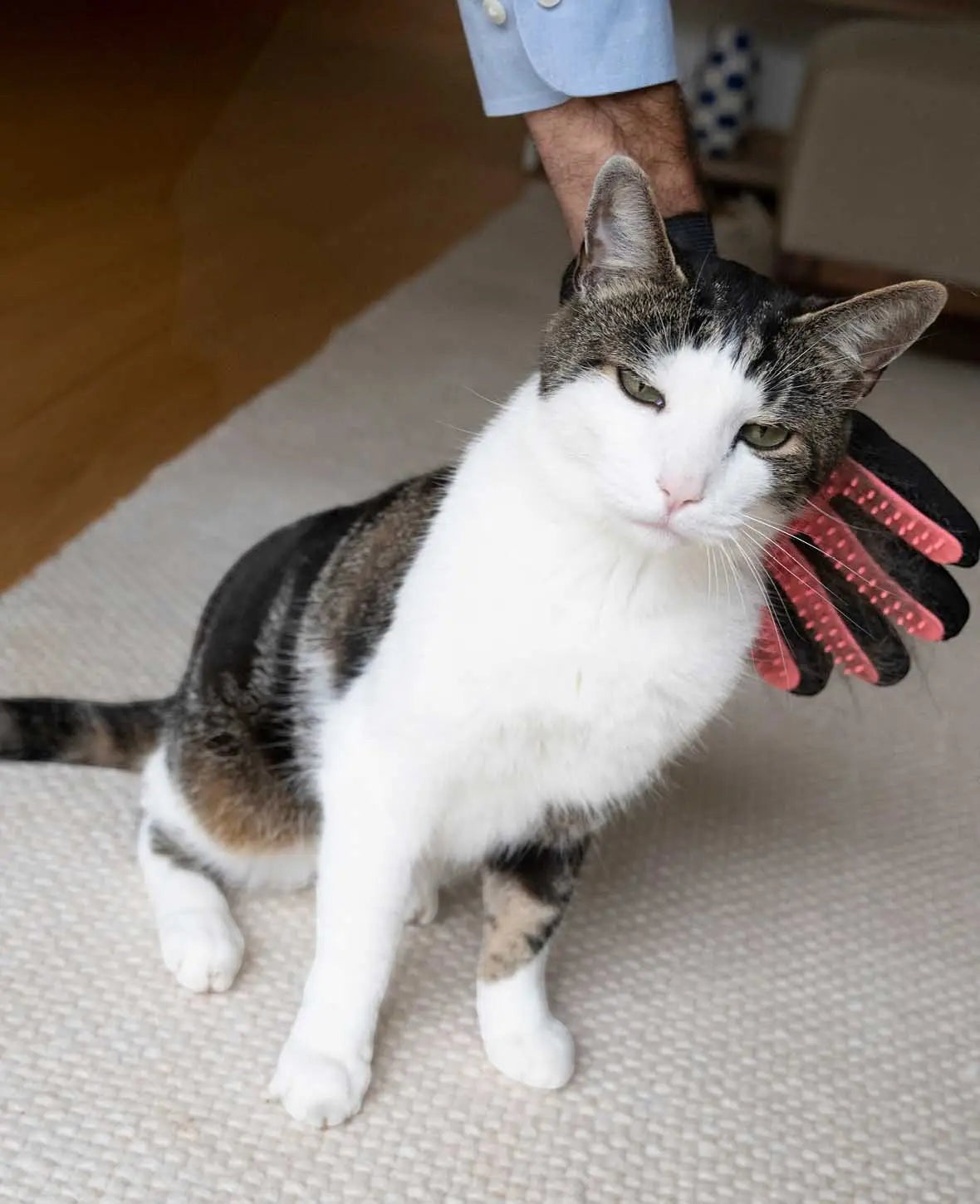 Fellpflege Handschuh für Katzen und Hunde, Schwarz/Pink