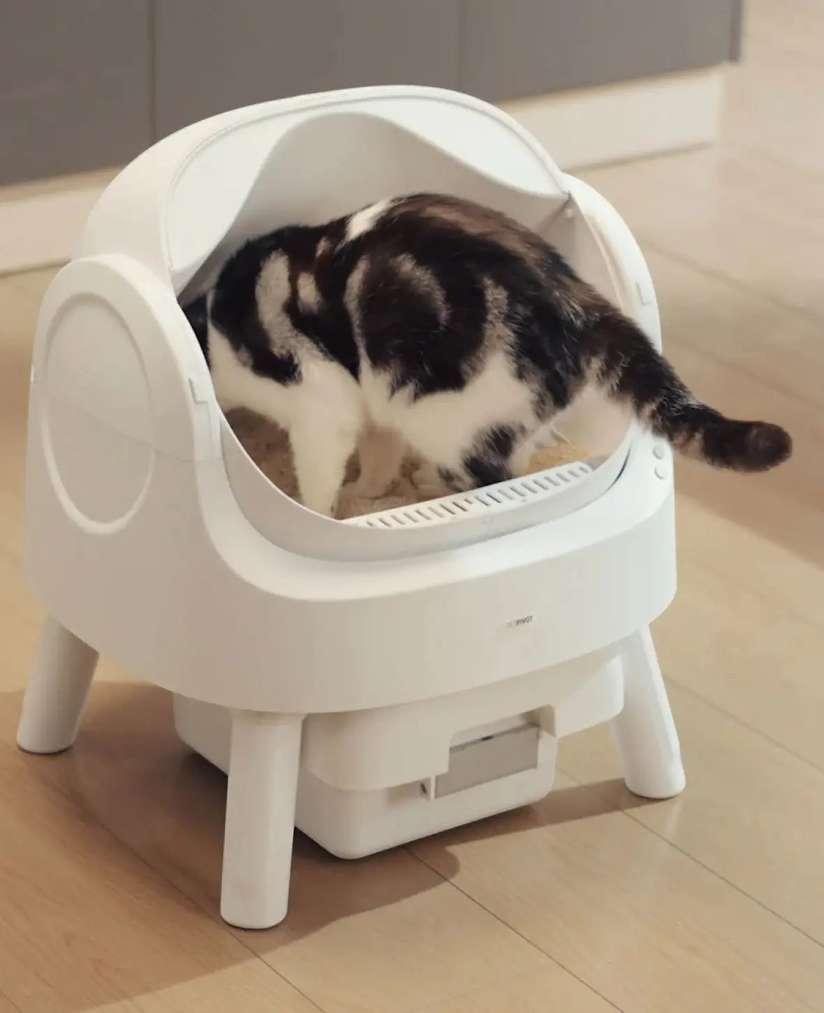 Selbstreinigende Katzentoilette mit Beutel, offen & leise