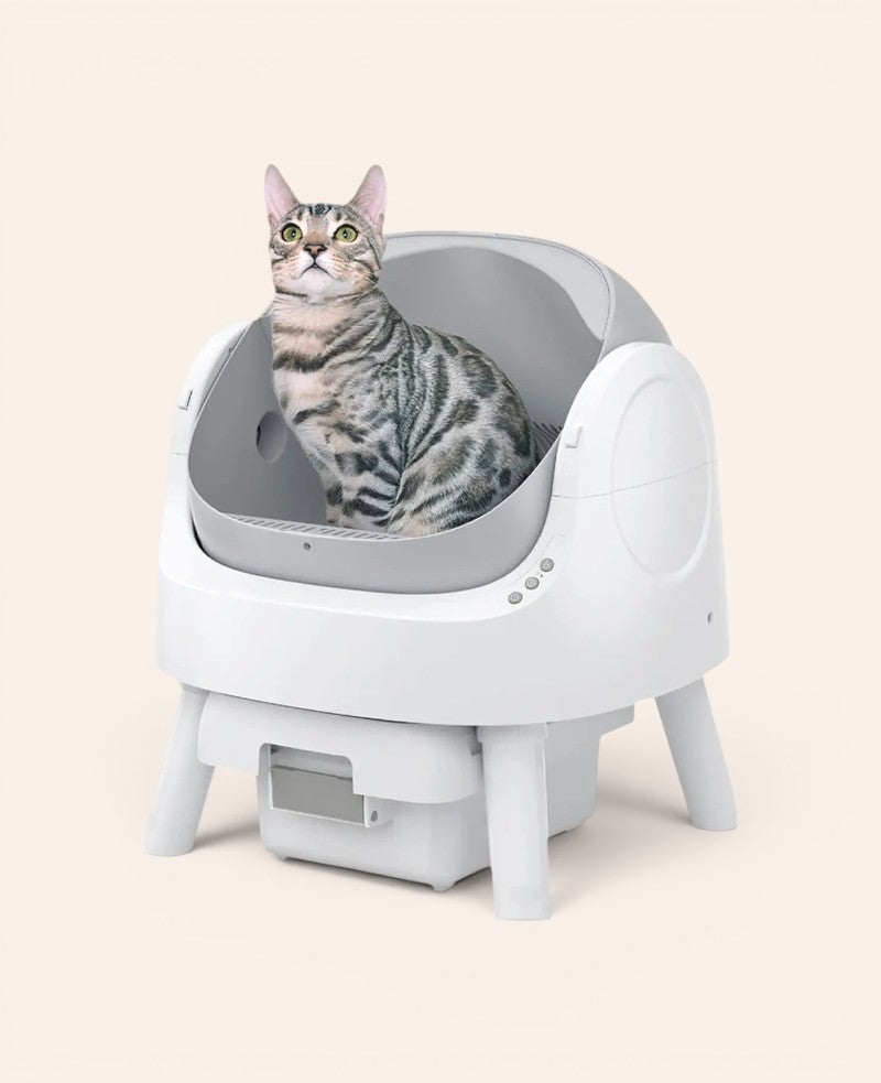 Selbstreinigende Katzentoilette mit Beutel, offen & leise