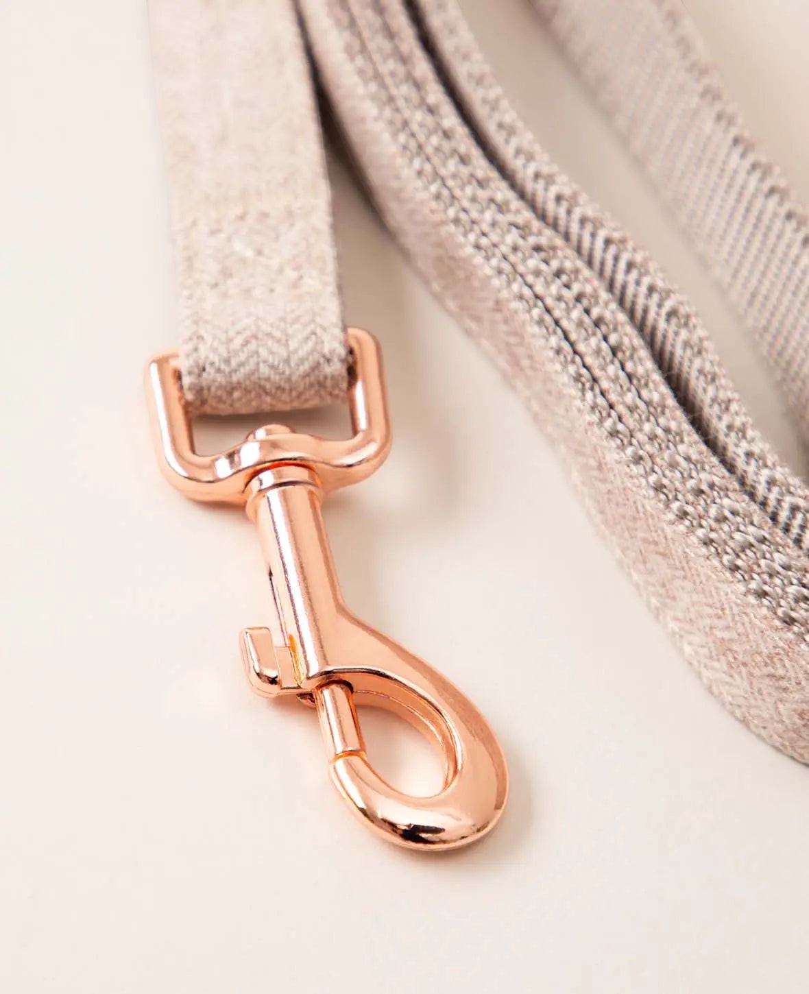 Luxus Hundehalsband mit Leine, beige, S