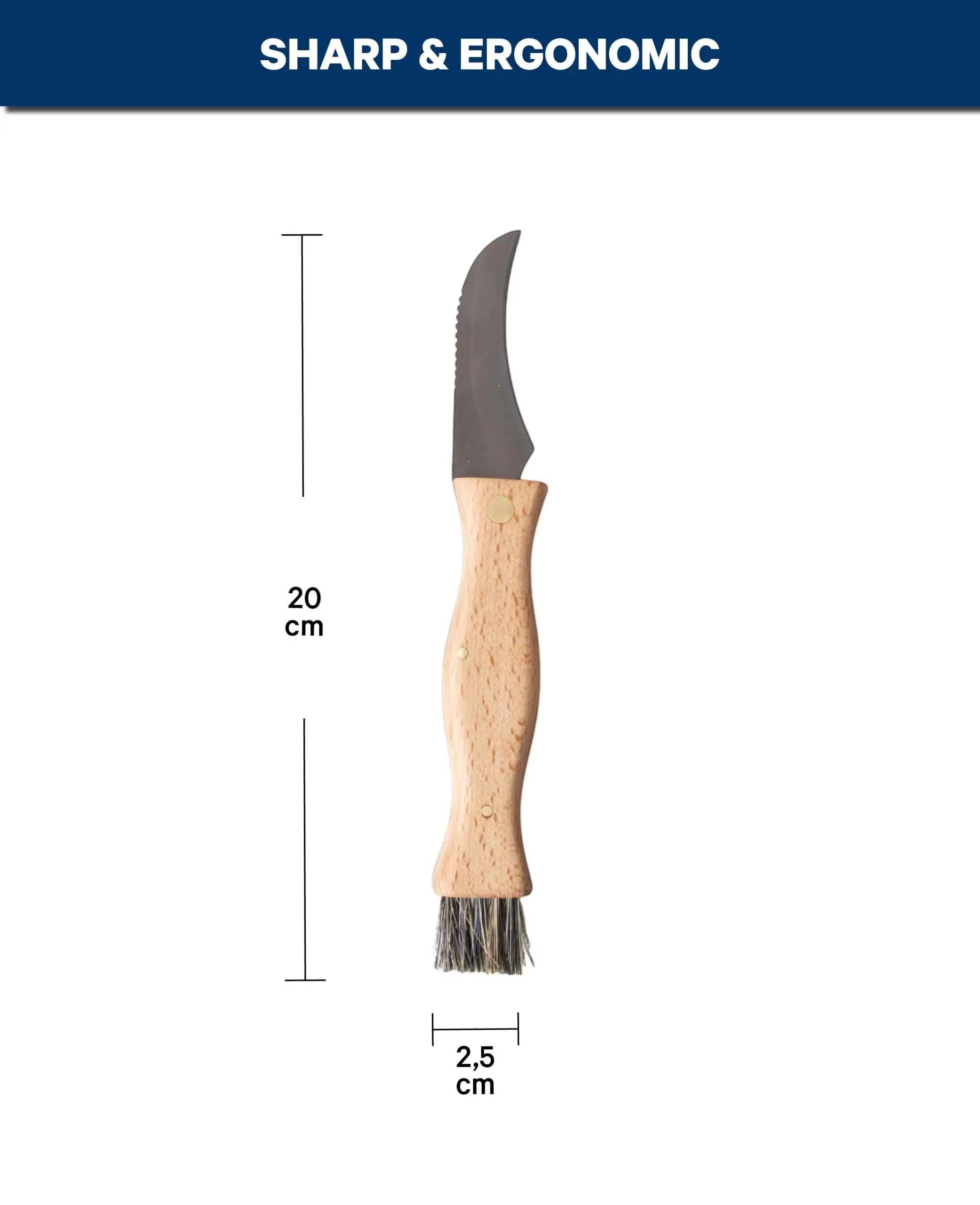 Pilzmesser / Klappmesser mit Bürste und Buchenholzgriff