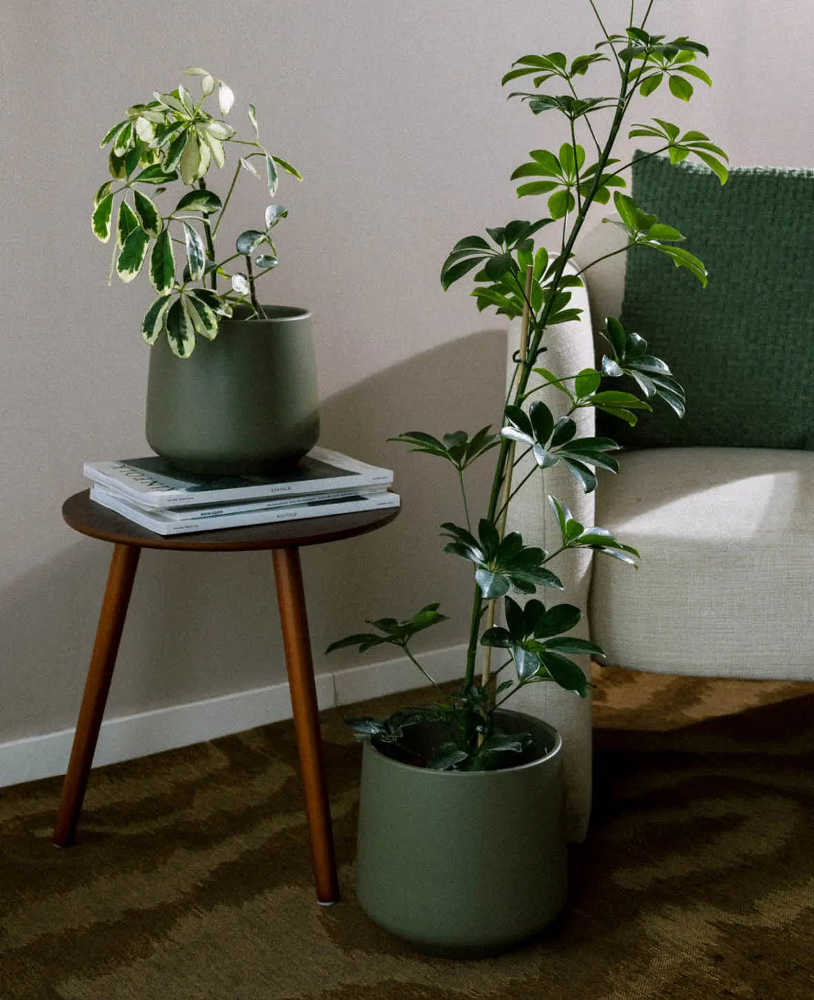 Flower pot modern, green matte, Ø 23.5cm
