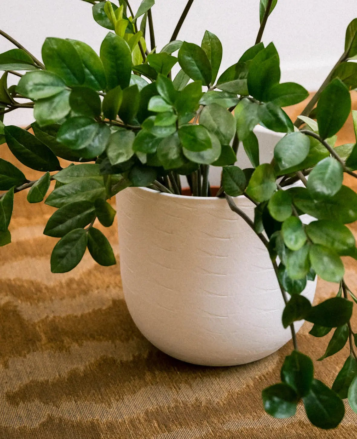 Esmée Blumentopf aus Terrakotta in Off White mit natürlicher Oberflächenstruktur und grüner Zimmerpflanze