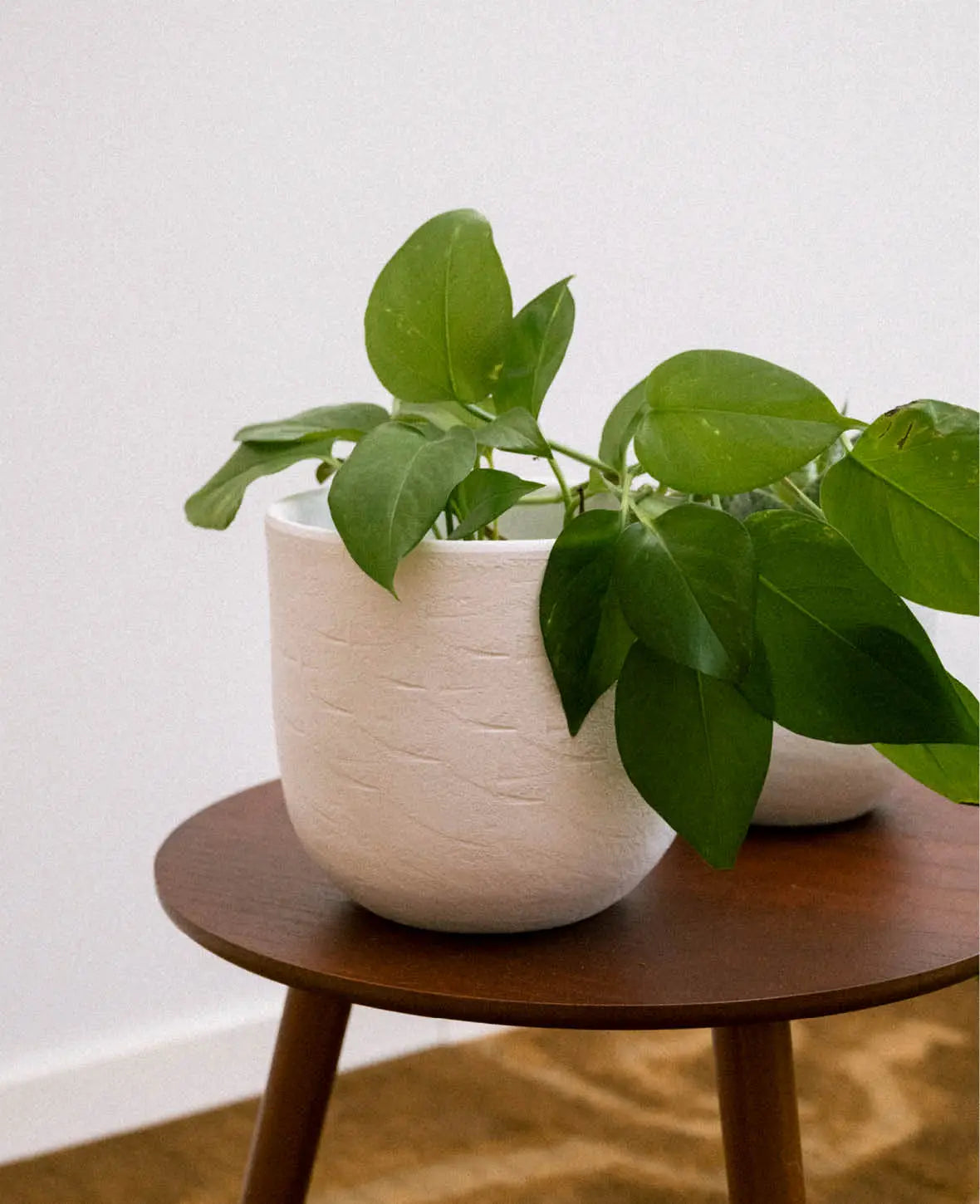 Blumentopf aus Terrakotta, Off White, Ø 17cm