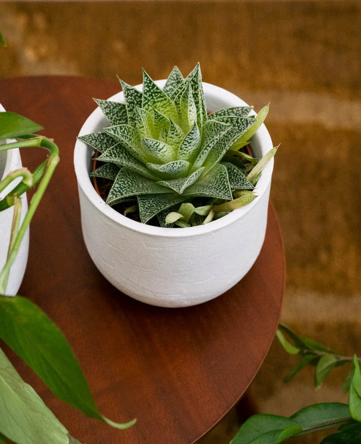 Terracotta Plant Pot, Off White, Ø 14cm