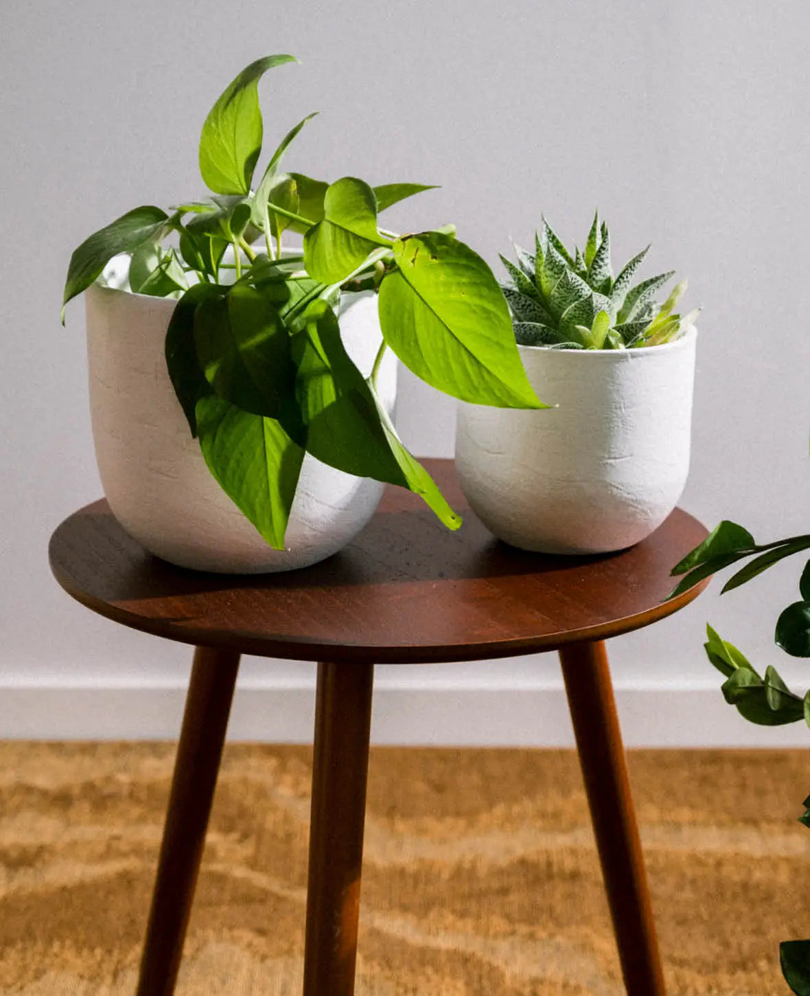 Blumentopf aus Terrakotta, Off White, Ø 17cm