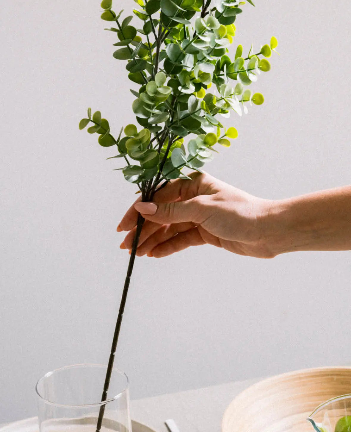 Eucalyptus branch, 65cm