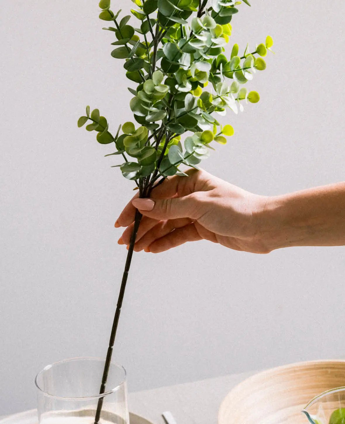 Small-leaf Eucalyptus Branch, 65cm