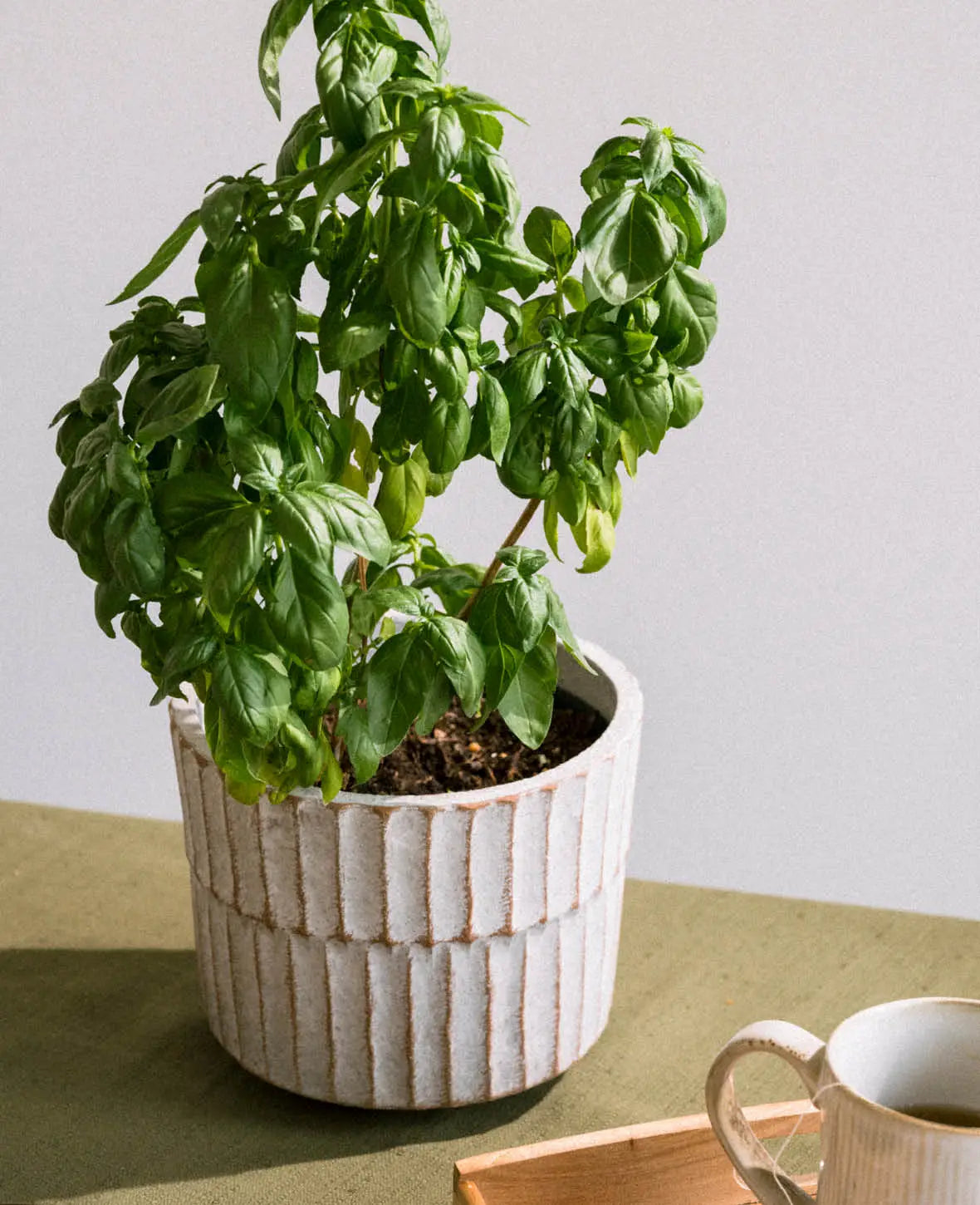 Flowerpot with Structure, Off White, Ø 17.5 cm
