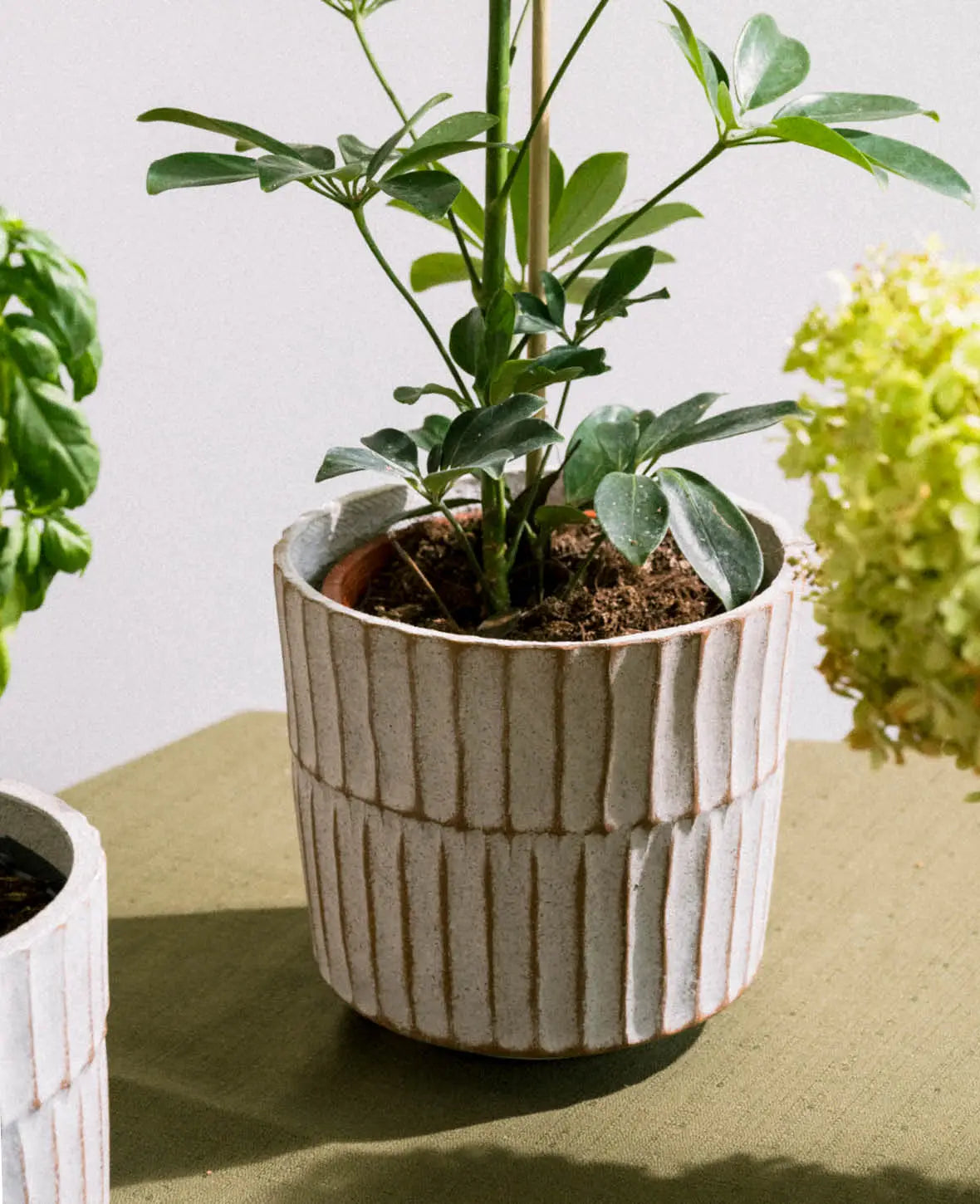 Pot de fleurs structuré, blanc cassé, Ø 20 cm