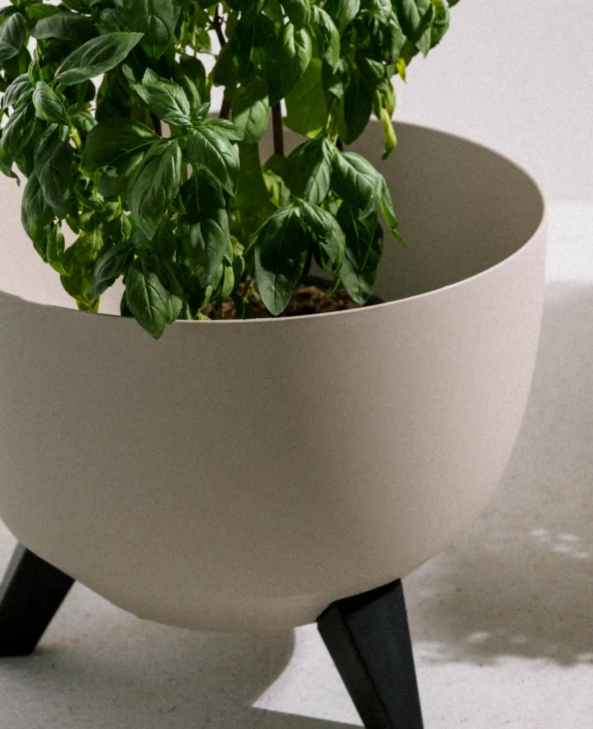 Blumentopf Doppio auf Füssen, Beige, Ø 29 cm