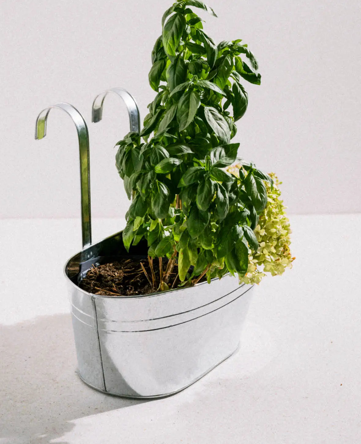 Hänge-Blumentopf, Metall, 30 × 17 cm